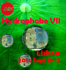 Hydrophobe VII - 7th Hydrophobe Conference on Water Repellent Treatment and Protective Surface Technology of Building Materials