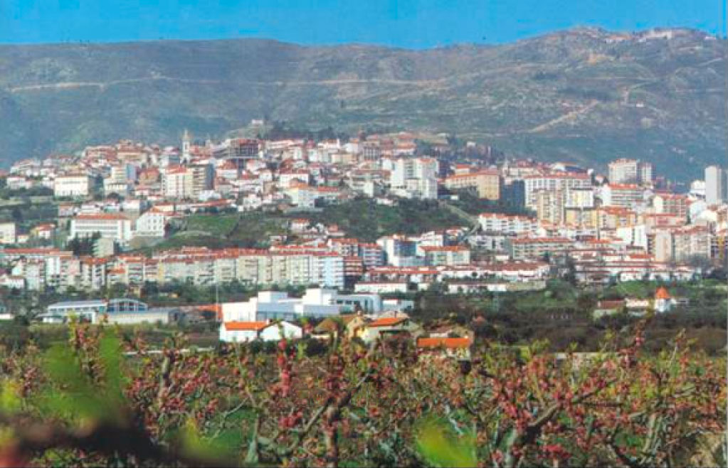 Vista da Covilhã