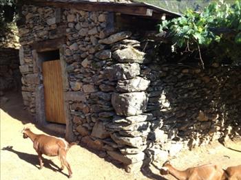 O cabril reconstruído pelas equipas da “Terra Amada”. A aldeia de Covas do Monte tem cerca de 2 000 cabras.